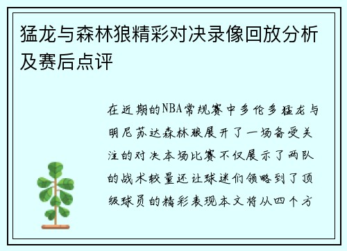 猛龙与森林狼精彩对决录像回放分析及赛后点评