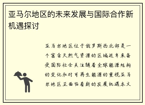 亚马尔地区的未来发展与国际合作新机遇探讨