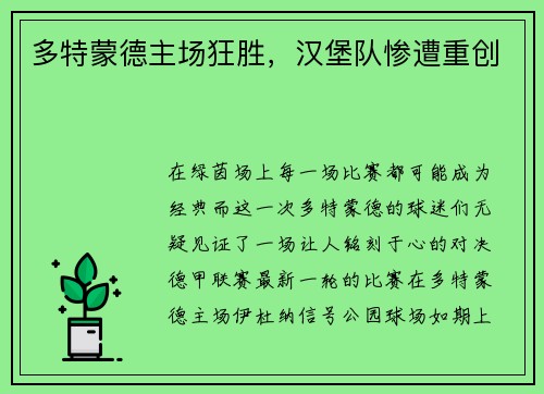 多特蒙德主场狂胜，汉堡队惨遭重创