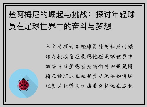 楚阿梅尼的崛起与挑战：探讨年轻球员在足球世界中的奋斗与梦想